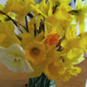 Meet your Posher, Sonya